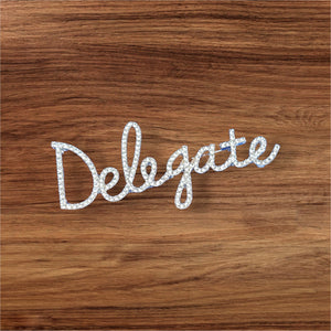 Delegate brooch (Boulé pickup)