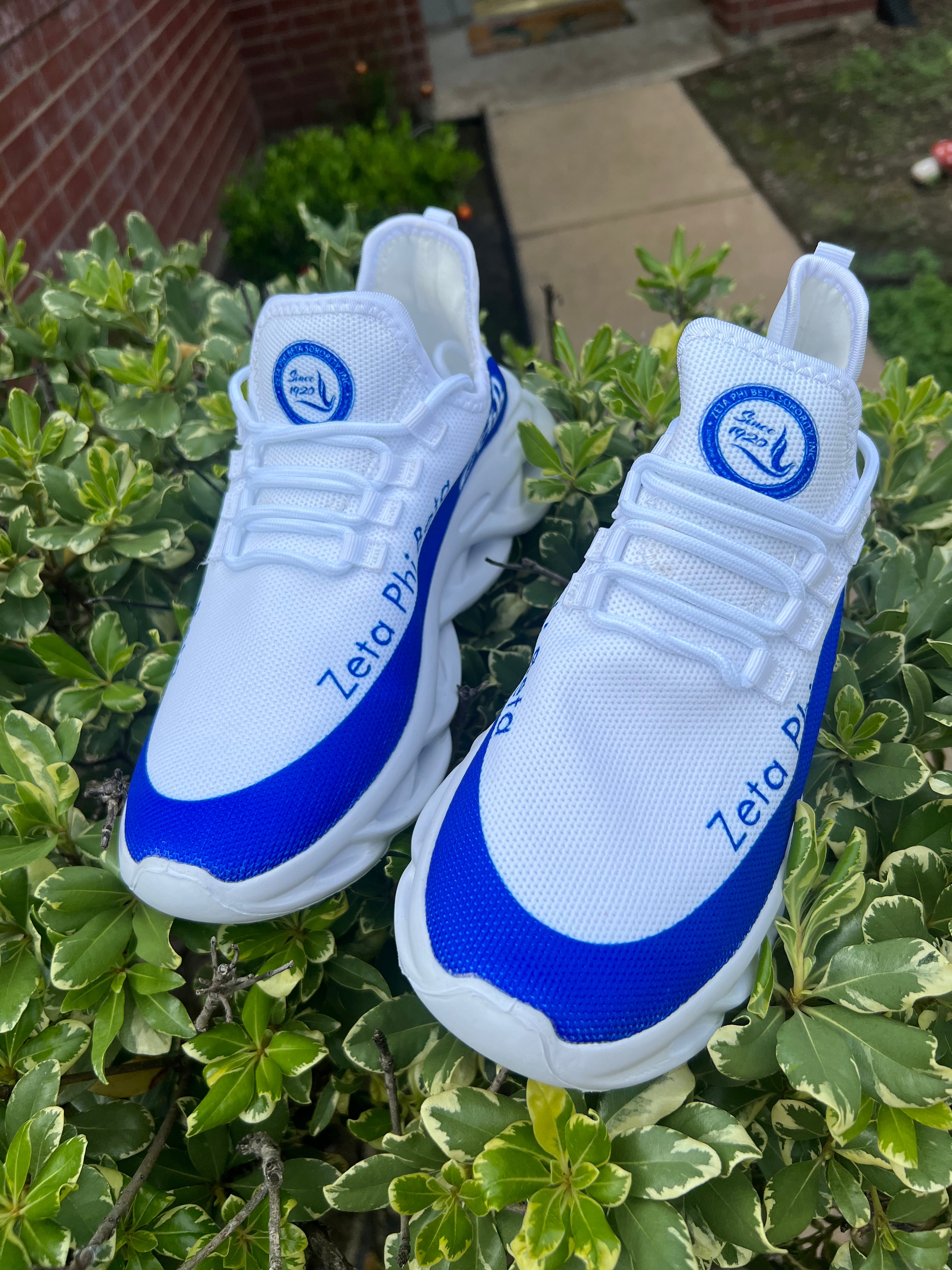 Zeta tennis shoes
