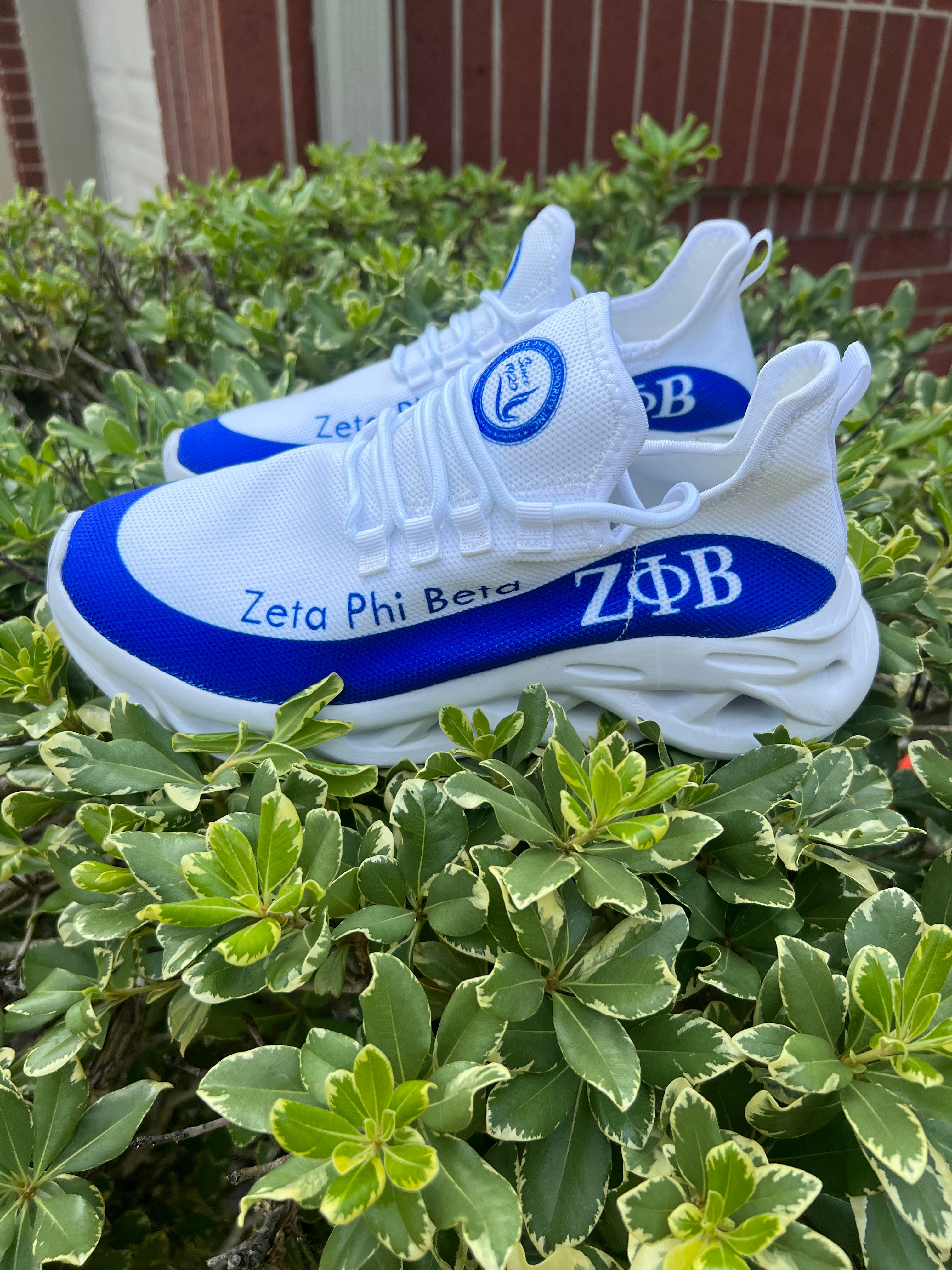 Zeta tennis shoes