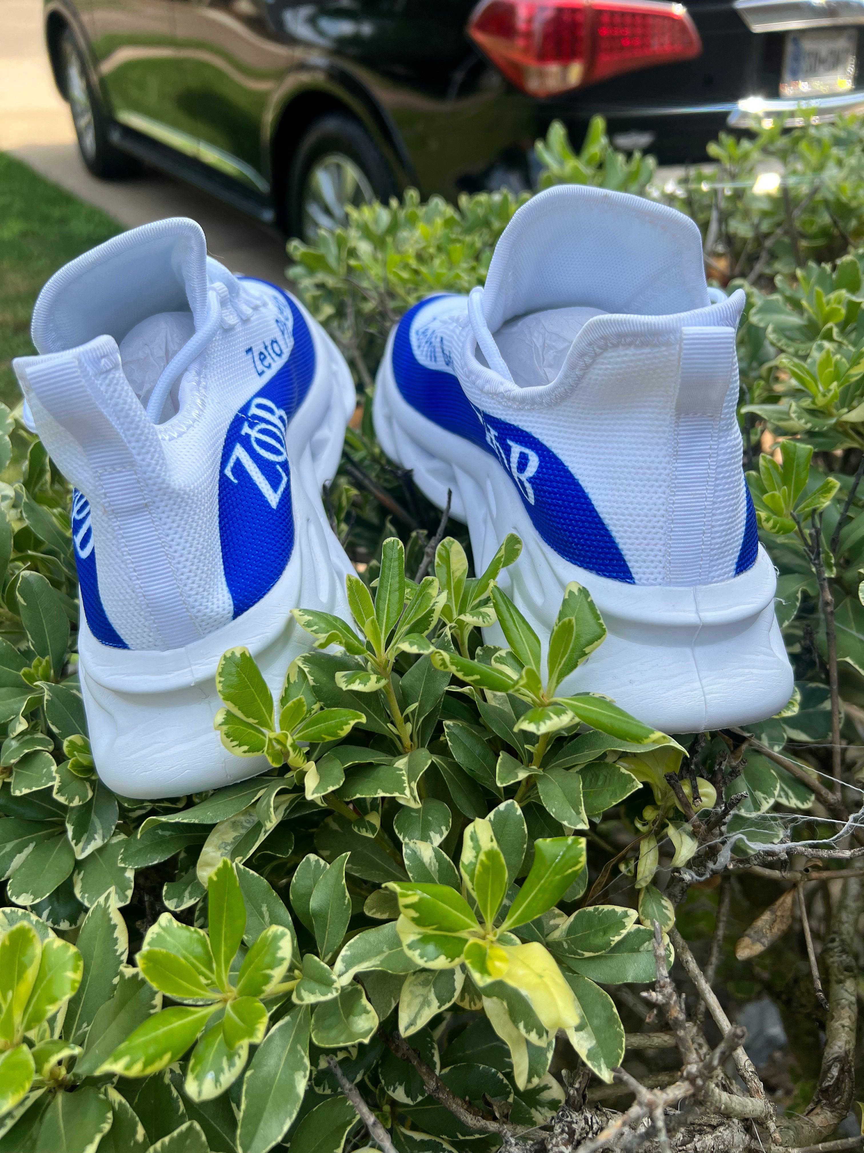 Zeta tennis shoes