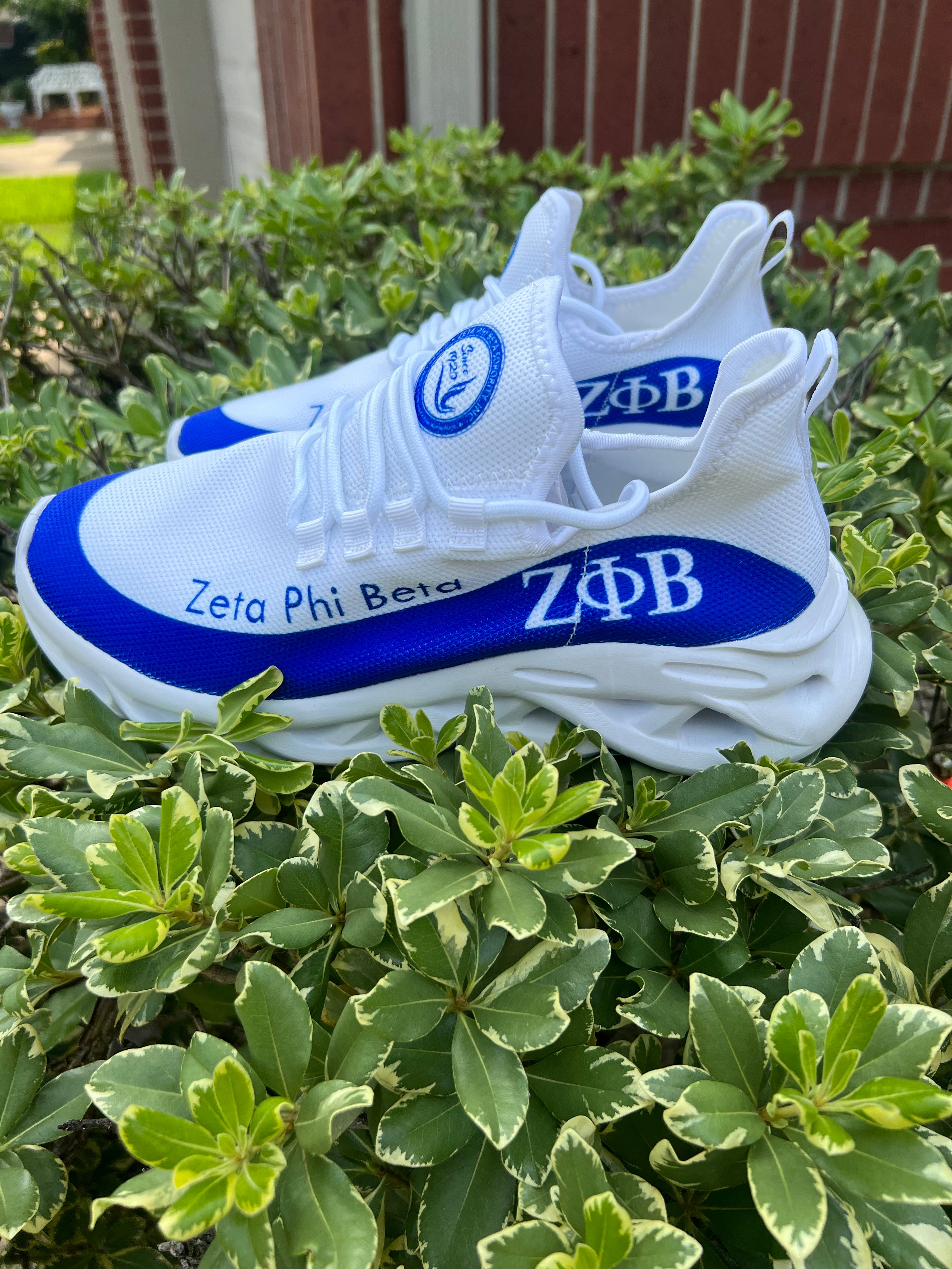 Zeta tennis shoes