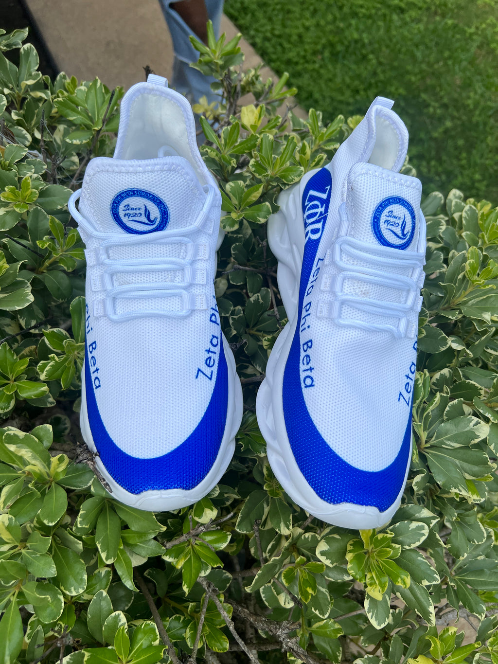 Zeta tennis shoes