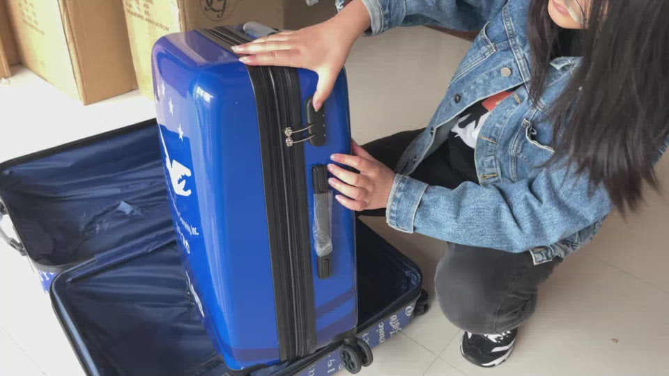 4 piece Zeta Nationally Approved Luggage set