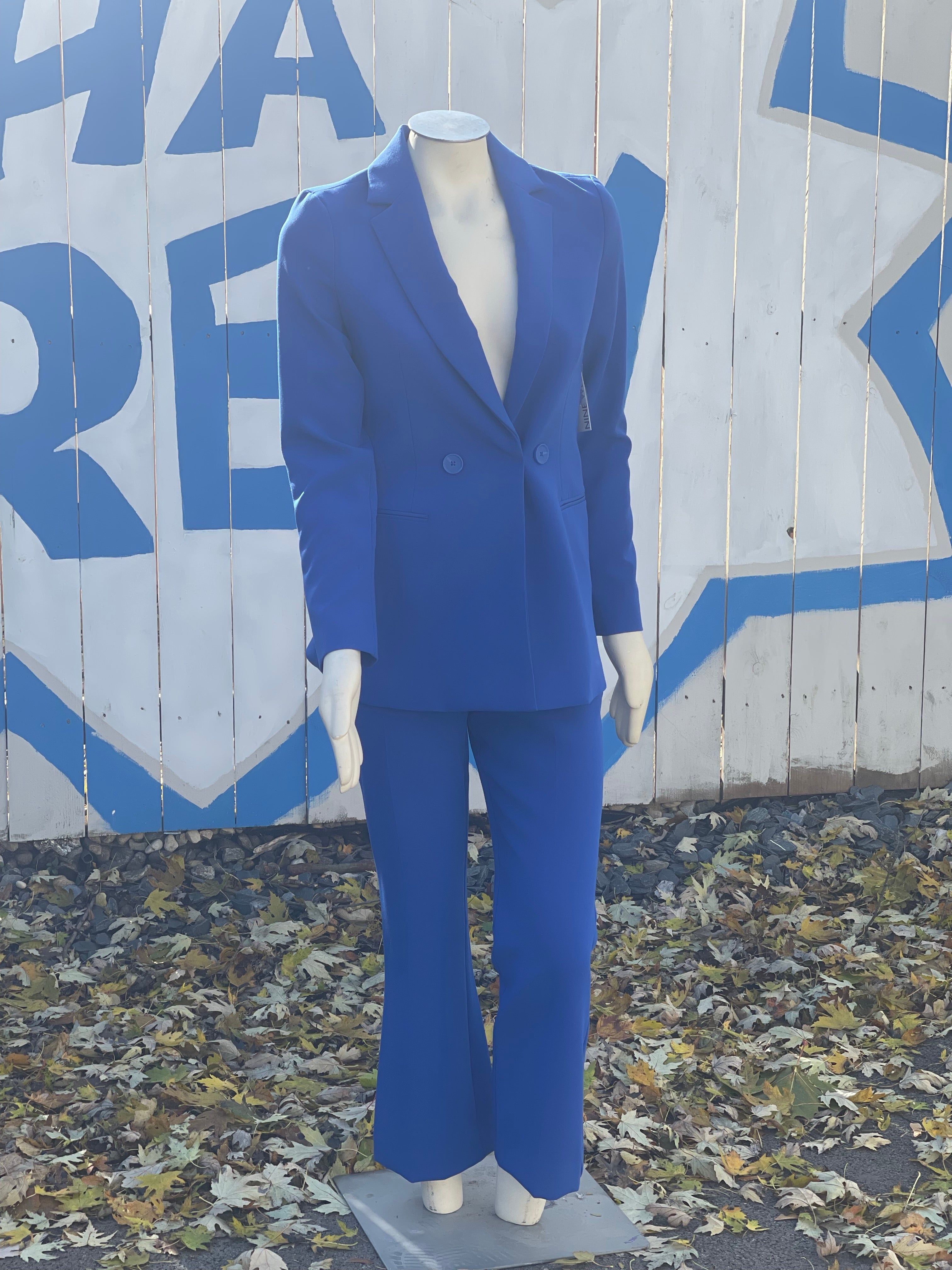 Royal blue kick flare pants