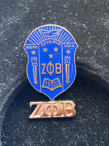 Zeta shield pin