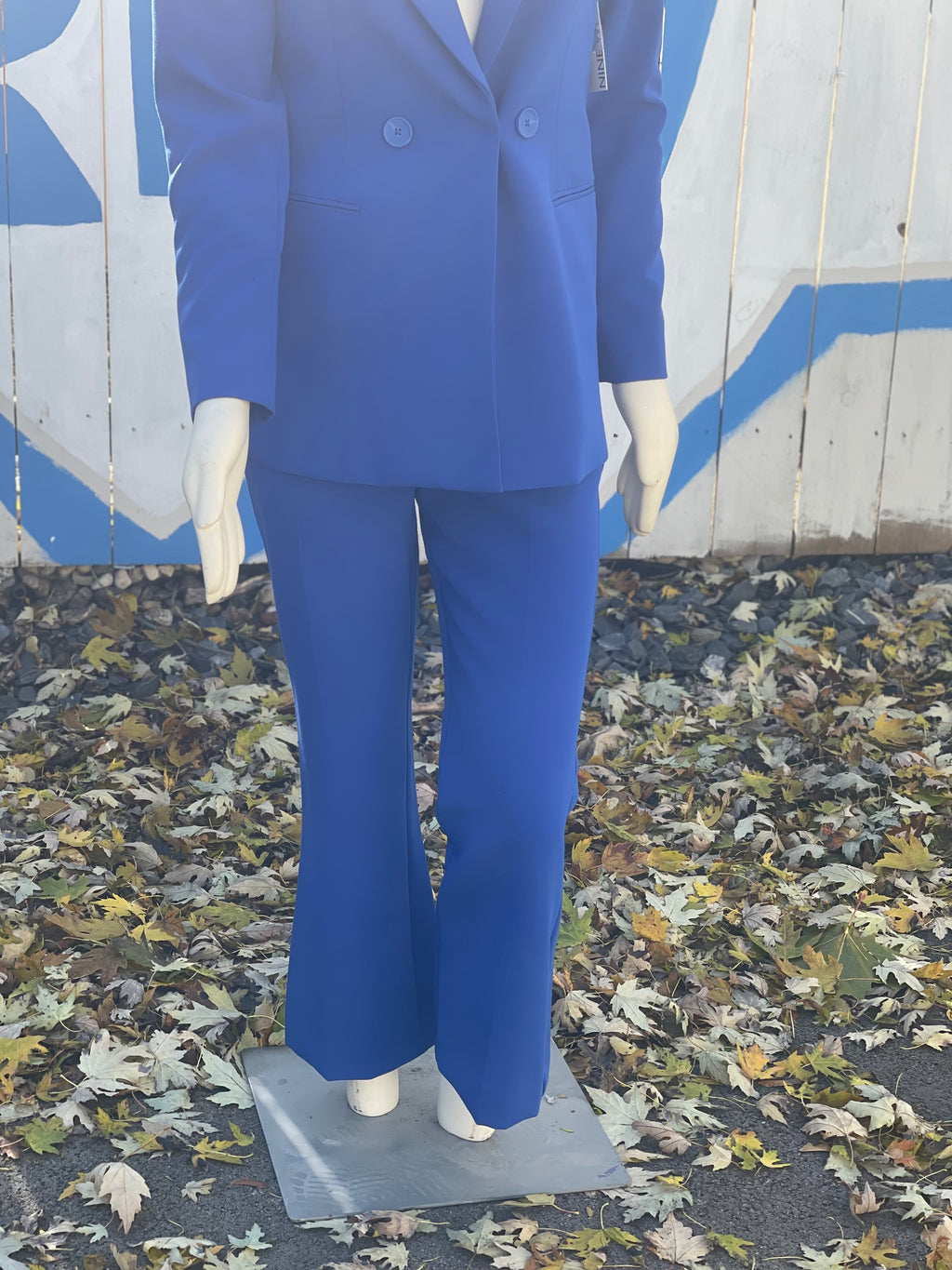 Royal blue kick flare pants
