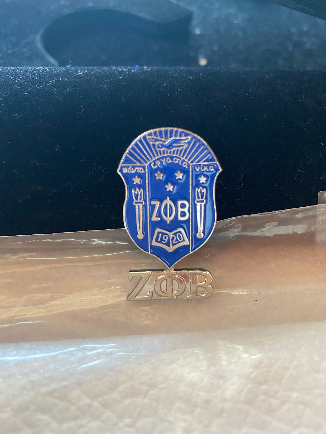 Zeta shield pin