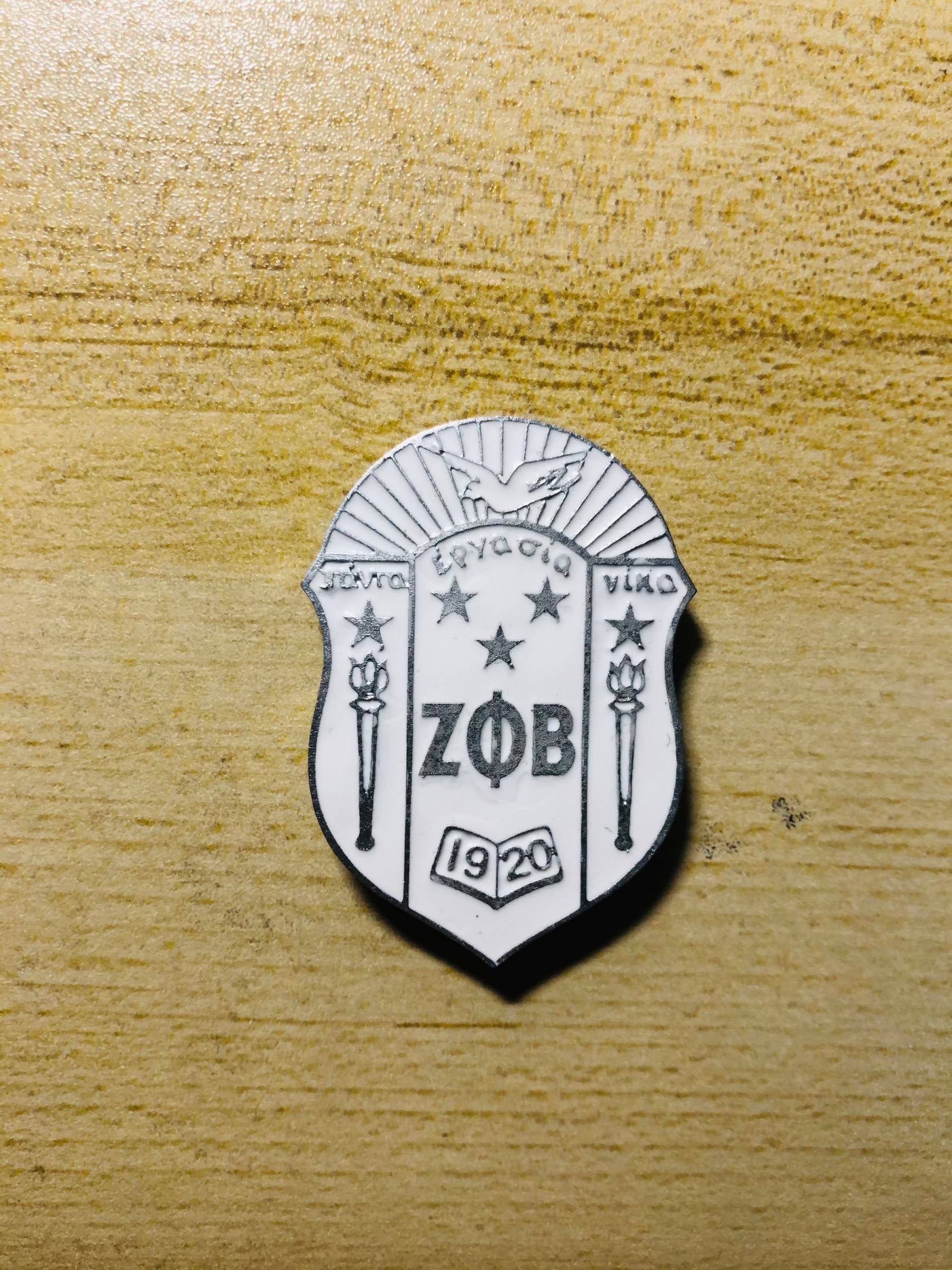 Zeta shield set (white)