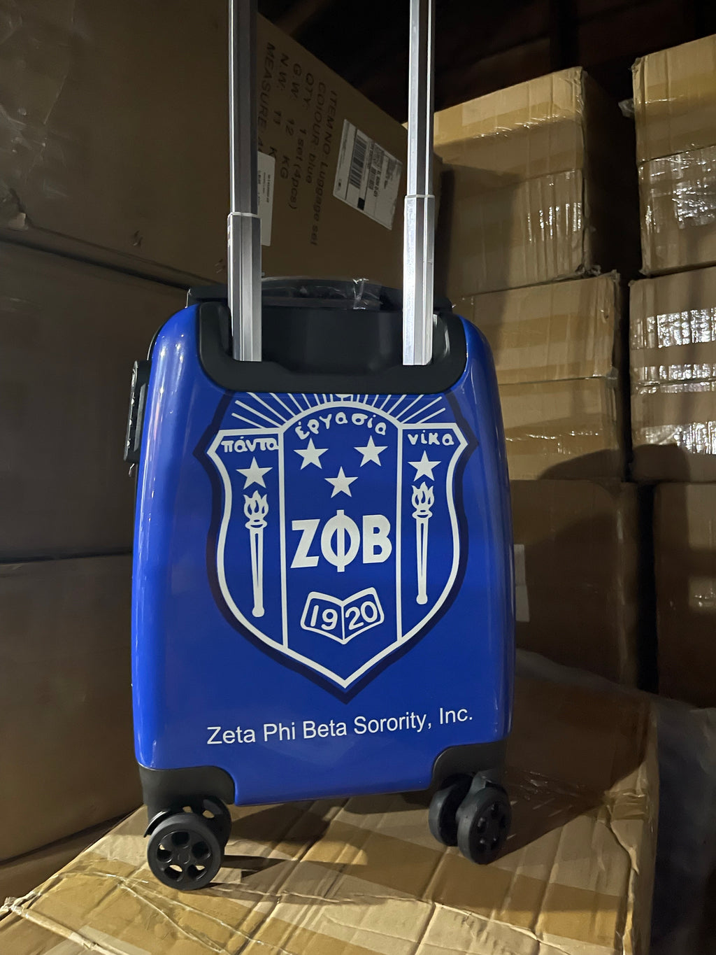 4 piece Zeta Nationally Approved Luggage set