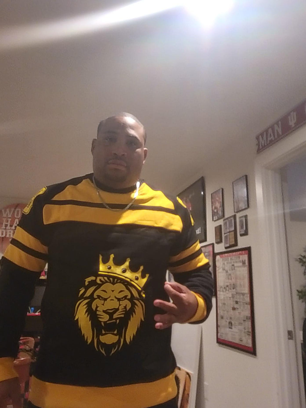 Lion sweatshirt