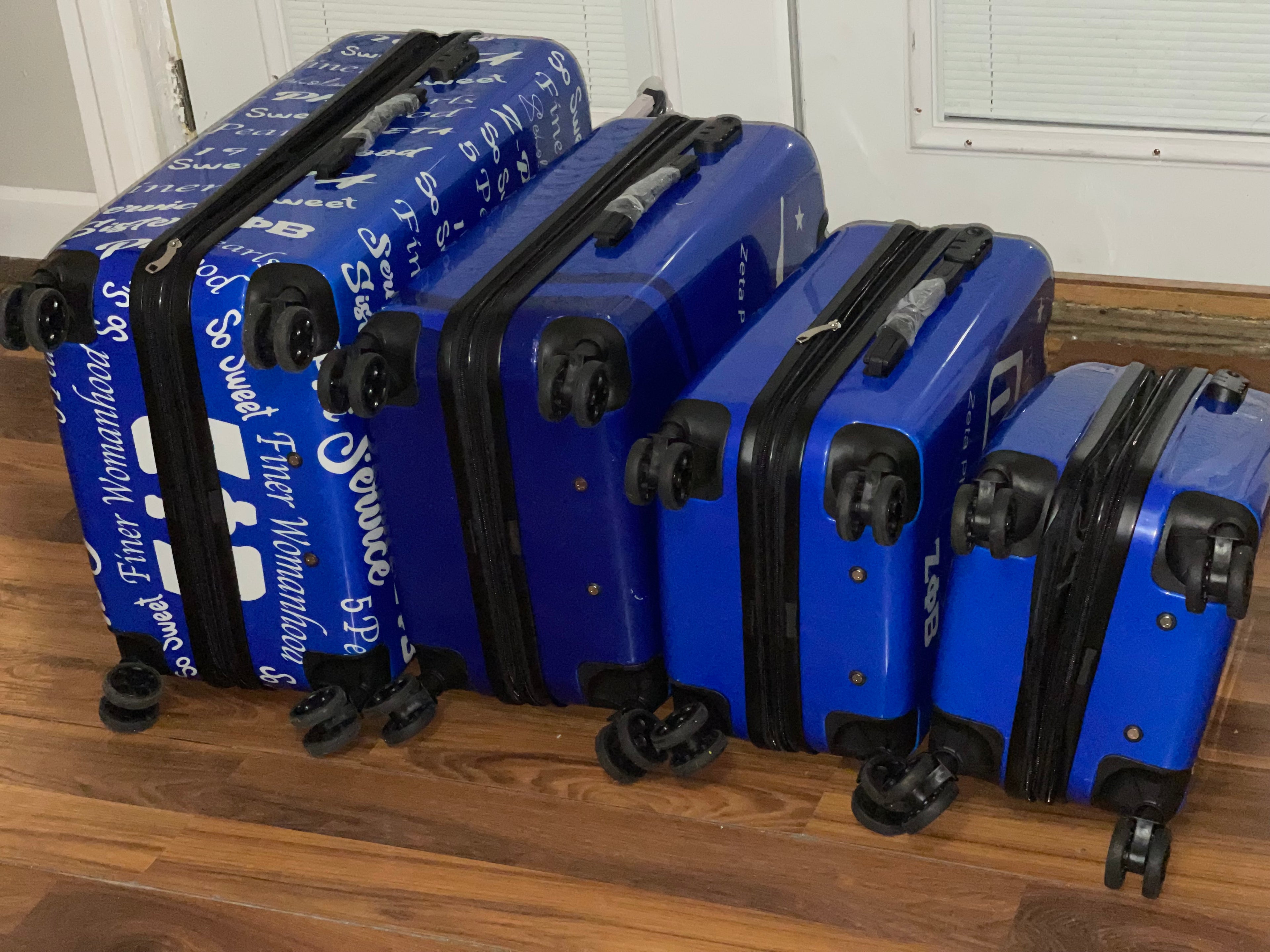 4 piece Zeta Nationally Approved Luggage set