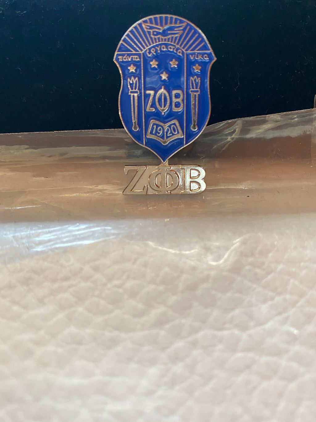 Zeta shield pin