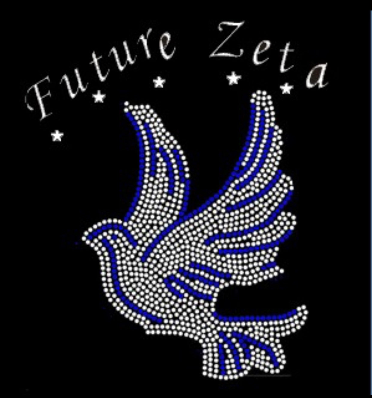 Future Zeta denim jackets